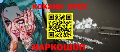 стаф Боровичи