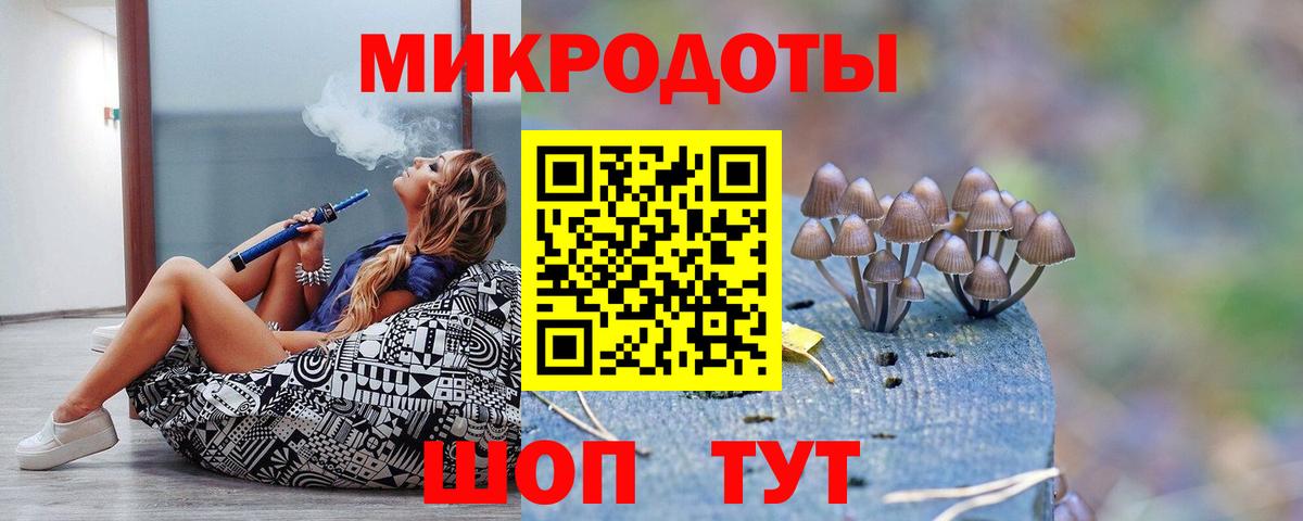 Галлюциногенные грибы Psilocybe Воскресенск